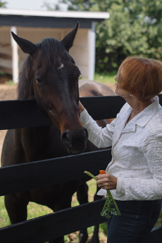 Retraining Thoroughbreds, new careers Thoroughbreds, Barbara Sheridan Equine Guelph, Garry Westergaard, Priscilla Clark Tranquility Farm, thoroughbred career change, Jocelyn Inglehart, Wendy Muir, Jane Avril 