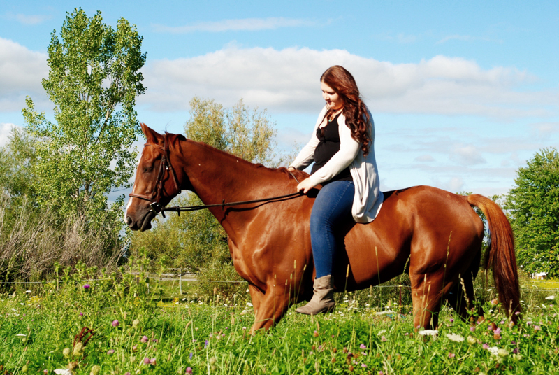 Retraining Thoroughbreds, new careers Thoroughbreds, Barbara Sheridan Equine Guelph, Garry Westergaard, Priscilla Clark Tranquility Farm, thoroughbred career change, Jocelyn Inglehart, Wendy Muir, Jane Avril 