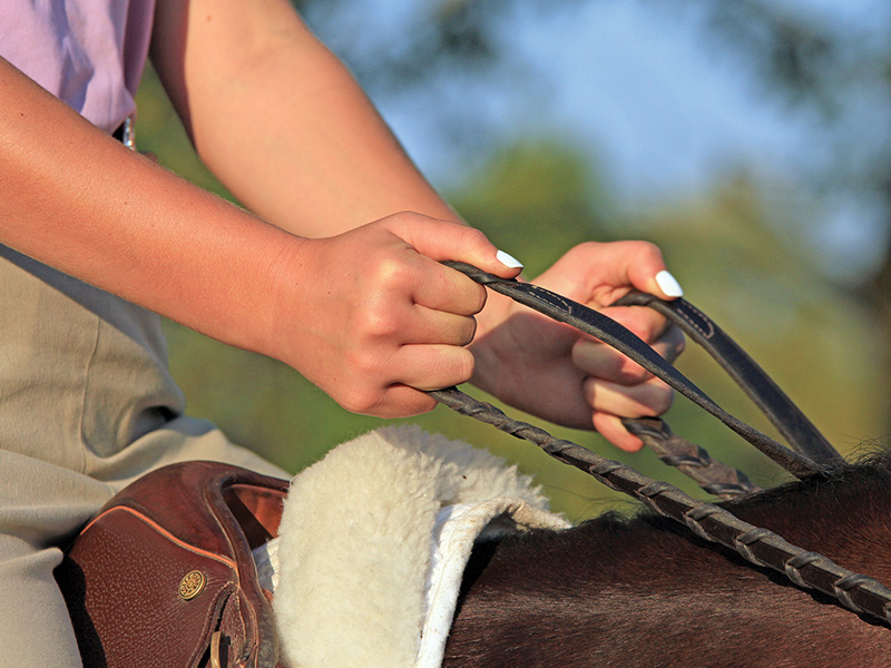 horse bits, contact with horse, dull mouth horse, bit evasion, how to get a light mouthed horse, lindsay grice