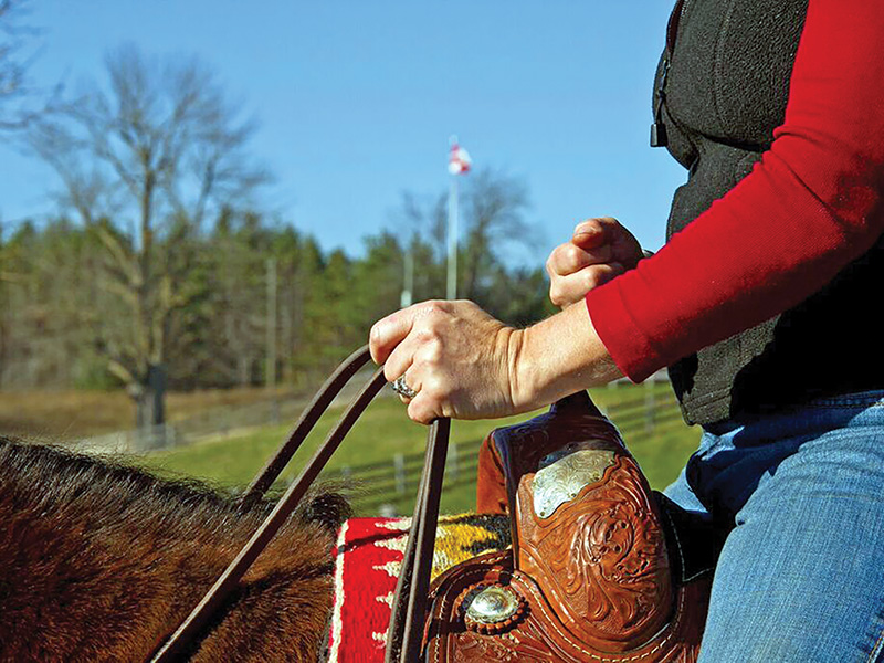 horse bits, contact with horse, dull mouth horse, bit evasion, how to get a light mouthed horse, lindsay grice