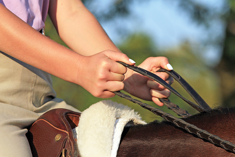 lindsay grice, preparing for a horse competition, psychology of riding horses, helping an anxious horse, horse refuses, horse won't cooperate