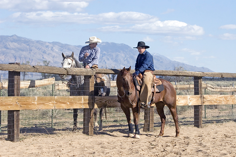 horse industry gossip, gossip horse industry, equine lawyers in canada, horse lawyers canada, karen weslowski