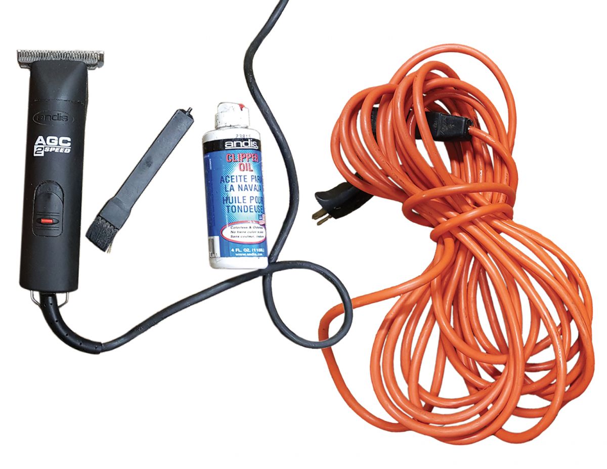 how to properly clip your horse's face, how to clip horse's Bridle, path, how to clip horse's legs