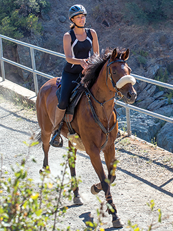 kelly plitz reining, colten powell show jumping, colten powell bronc rider, kelly plitz reining, tina thompson eventing, tina thompson endurance, changing horse discipliens, tania millen