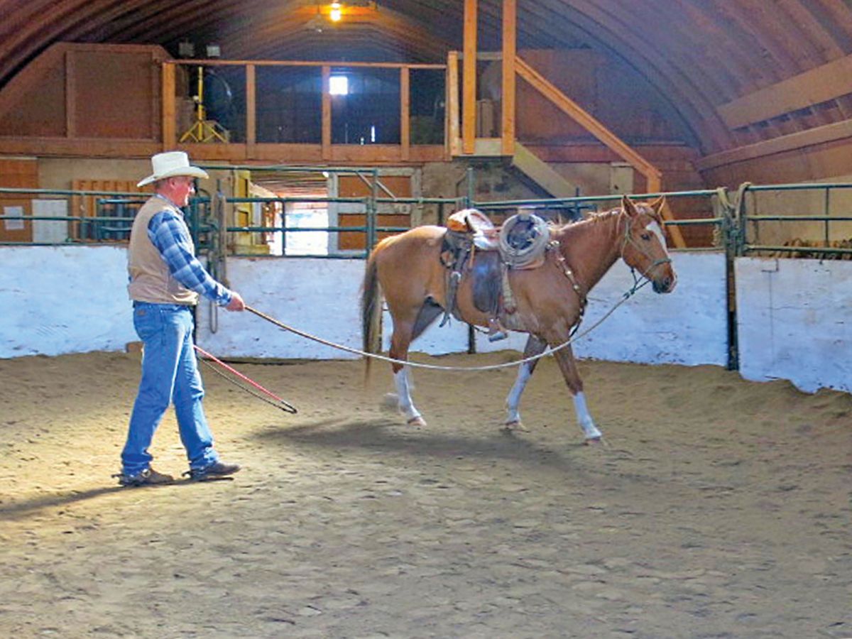 trail riding canada, horseback riding canada, ya ha tinda working horse ranch, camping with hores canada