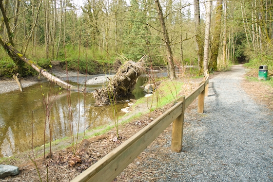 eco-friendly horse, rotating horse grazing, trail riding responsibly, manure composting horse, langley environmental partners society