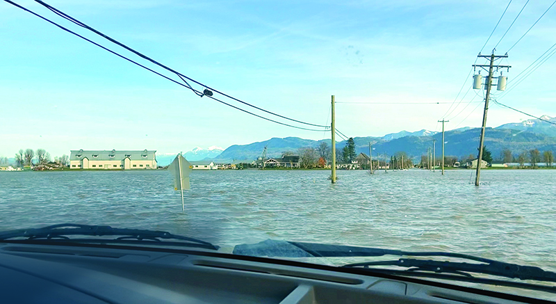equine emergency preparedness, horses stuck flooding, preventing barn fire, emergency services horses, help for horses disaster, kevan garecki, bc flooding horses