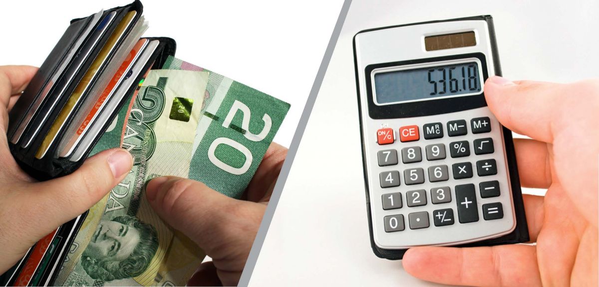 ways to budget horse expenses, how do I budget for horse expenses? Are horses expensive? create monthly budget for horse expenses