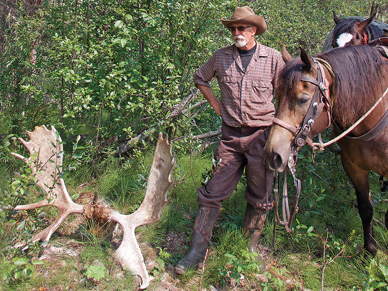 riding horses middle-age, older person wants to ride horses, how to start riding horses senior, grit high dressage,lorraine laframboise equestrian, sandra sokolosky riding horses