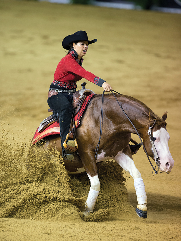 indoor equestrian action photography, how to photograph horses, horse photography in motion, action photography horses, equine action photography, photography at horse events, photo of horse using phone, take best horse photos, how to take a conformation photo of horse, make horse look good in photo, shawn hamilton