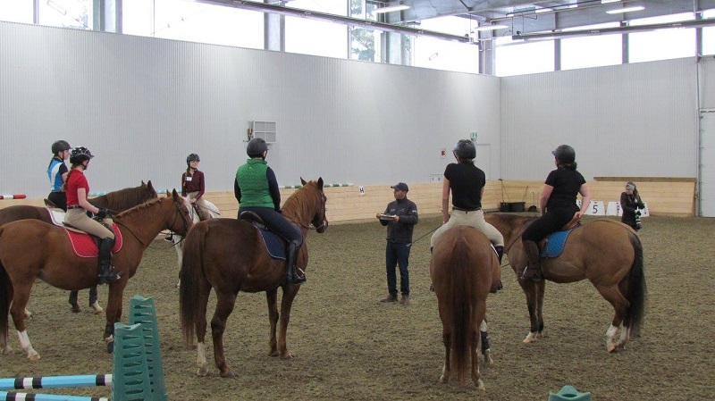 whitemud equine centre, welca, therapeutic riding