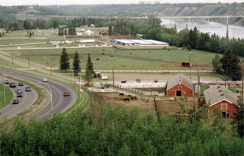 whitemud equine centre, welca, therapeutic riding