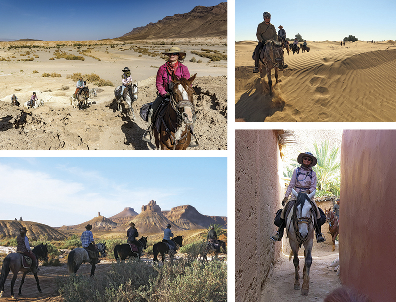 vacationing with horses, holidaying with horses, horse riding abroad, local horse riding, horse riding adventure, morocco sahara horses, tania millen
