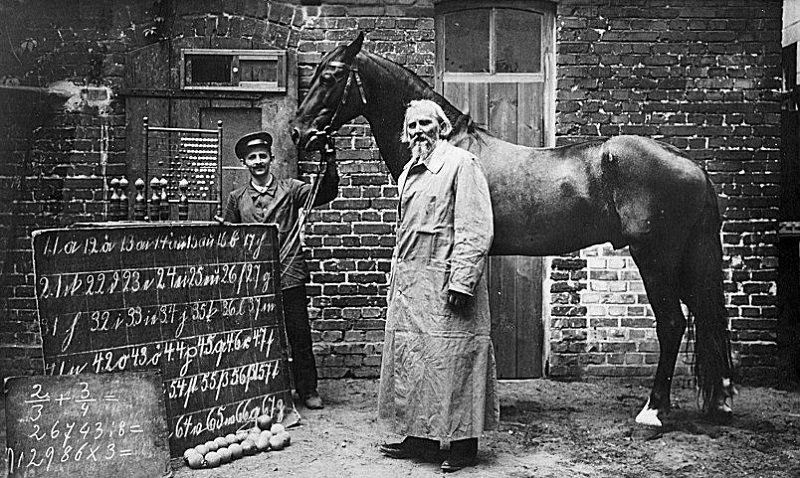 Clever Hans, Wilhelm von Osten, Carl Stumpf, Clever Hans Effect