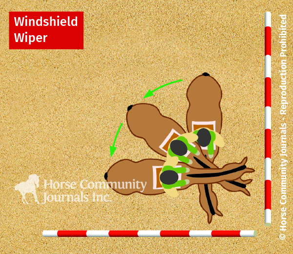 horse exercises for lightness, lateral poll flexion exercises, schaukel horse training, jec ballou horse trainer, ground pole exercises horses, improving contact with horses