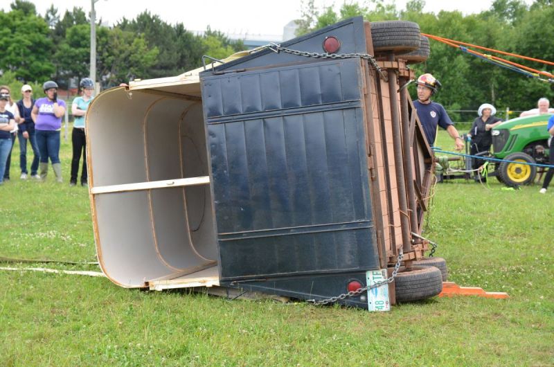 equine emergencies, what to do in case of a horse trailer accident, how to help my horse in an emergency, horse rescuers