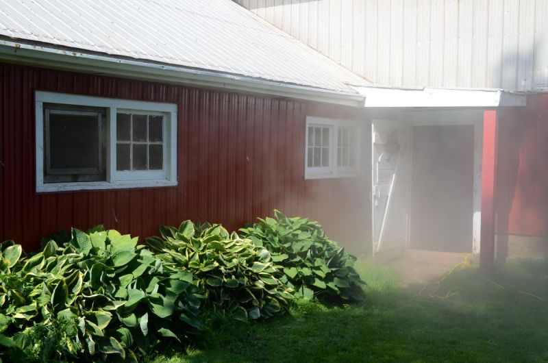 equine emergencies, what to do in case of a horse trailer accident, how to help my horse in an emergency, horse rescuers