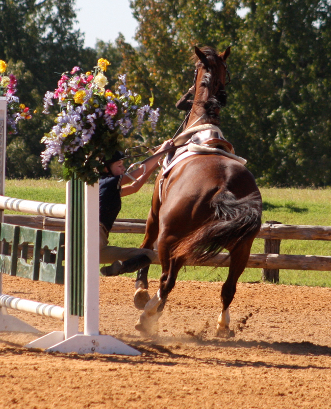 Love Your Horse, but Riding Scared?, April Clay, M.Ed., afraid of horse, fearful of your horse, anxious horse riding, overcoming horse riding stress, breaking up with your horse, make up or break up with your horse