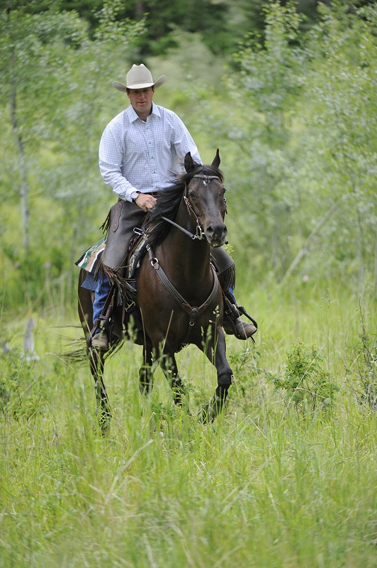 Jonathan Field how do i get my horse to focus, get my horse's attention, help focussing horse, horse won't focus, horse won't pay attention, natural horsemanship