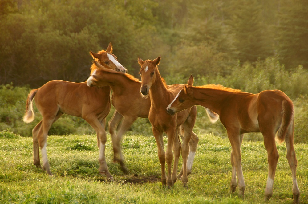 Beautiful Babies Second Runner-up Latford