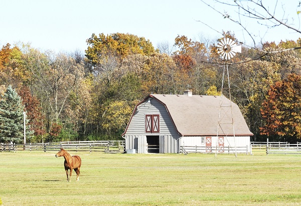 buying a horse property, living with horses, living on a horse farm, buying a horse farm, building a horse farm, building an equine property
