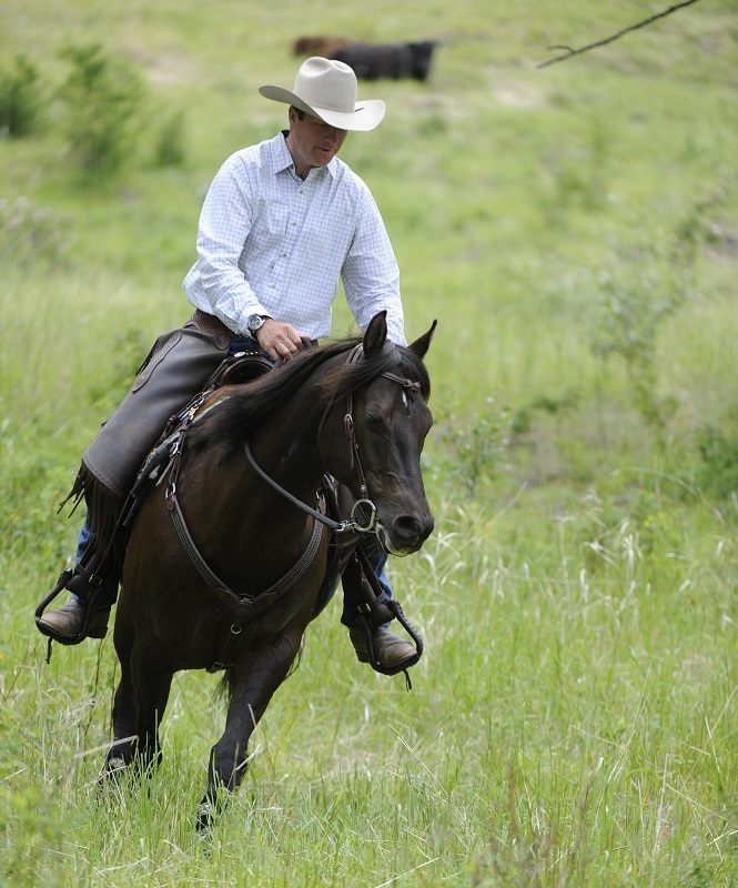 Jonathan Field how do i get my horse to focus, get my horse's attention, help focussing horse, horse won't focus, horse won't pay attention, natural horsemanship