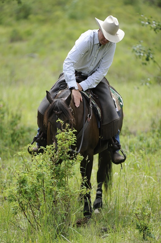 Jonathan Field how do i get my horse to focus, get my horse's attention, help focussing horse, horse won't focus, horse won't pay attention, natural horsemanship