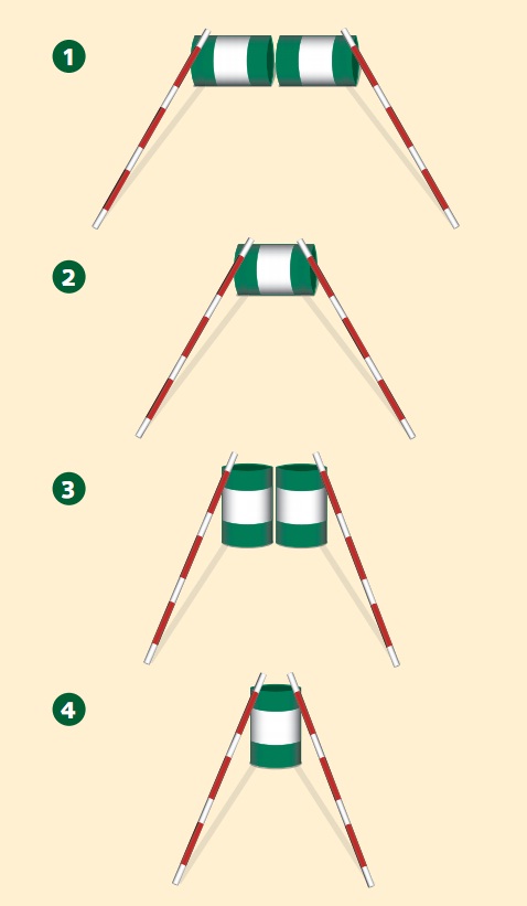 Barrel Jumps Exercises for Horses