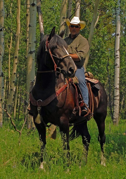 back country survival, christian mceachern, riding back country, horse riding back country, packing trip, saddle horn