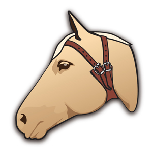Cribbing Collar Horses that Crib, lindsay grice training, cribbing caller should i buy, should i buy a horse that cribs, how to stop a horse from cribbing