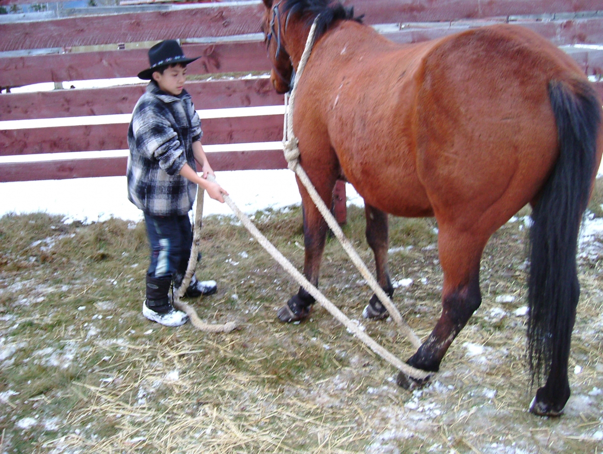 horse feet care, horse foot care, horse hoof care, horse foot health