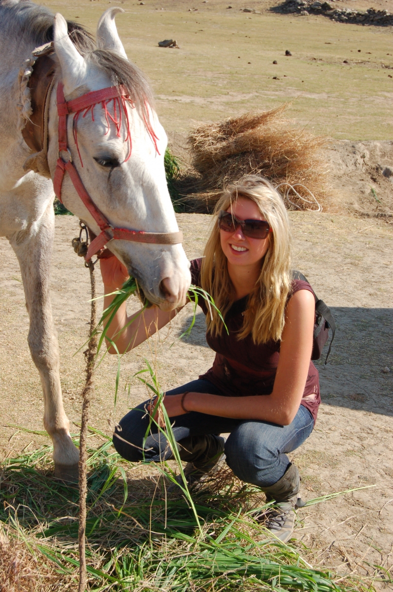 Pushkar Camel Fair, horseback riding  Marwari horse, Indian horsback riding, horse ridign Rajasthan India Southeast South Asia, Khumba Palace Guest House horse riding