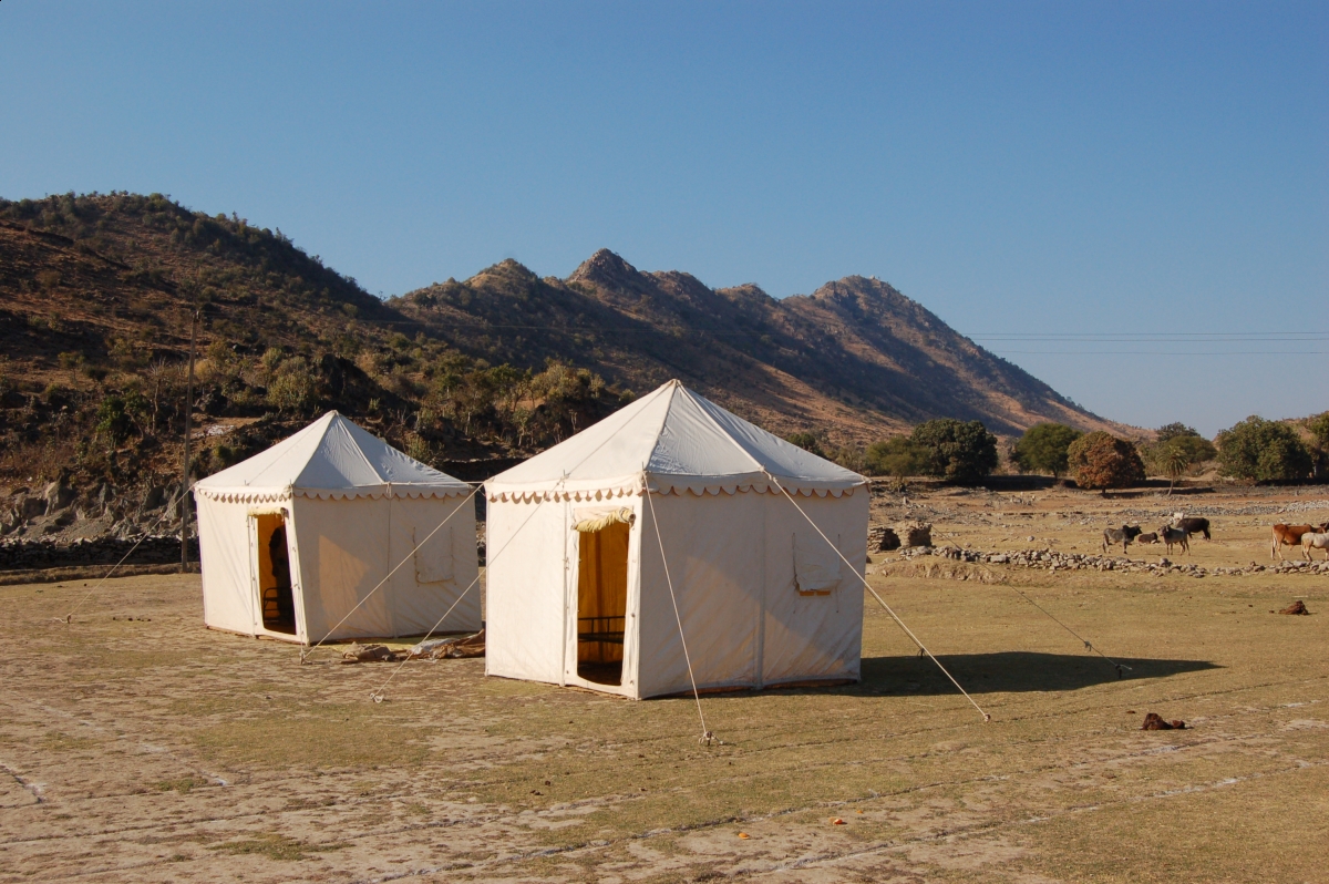 Pushkar Camel Fair, horseback riding  Marwari horse, Indian horsback riding, horse ridign Rajasthan India Southeast South Asia, Khumba Palace Guest House horse riding