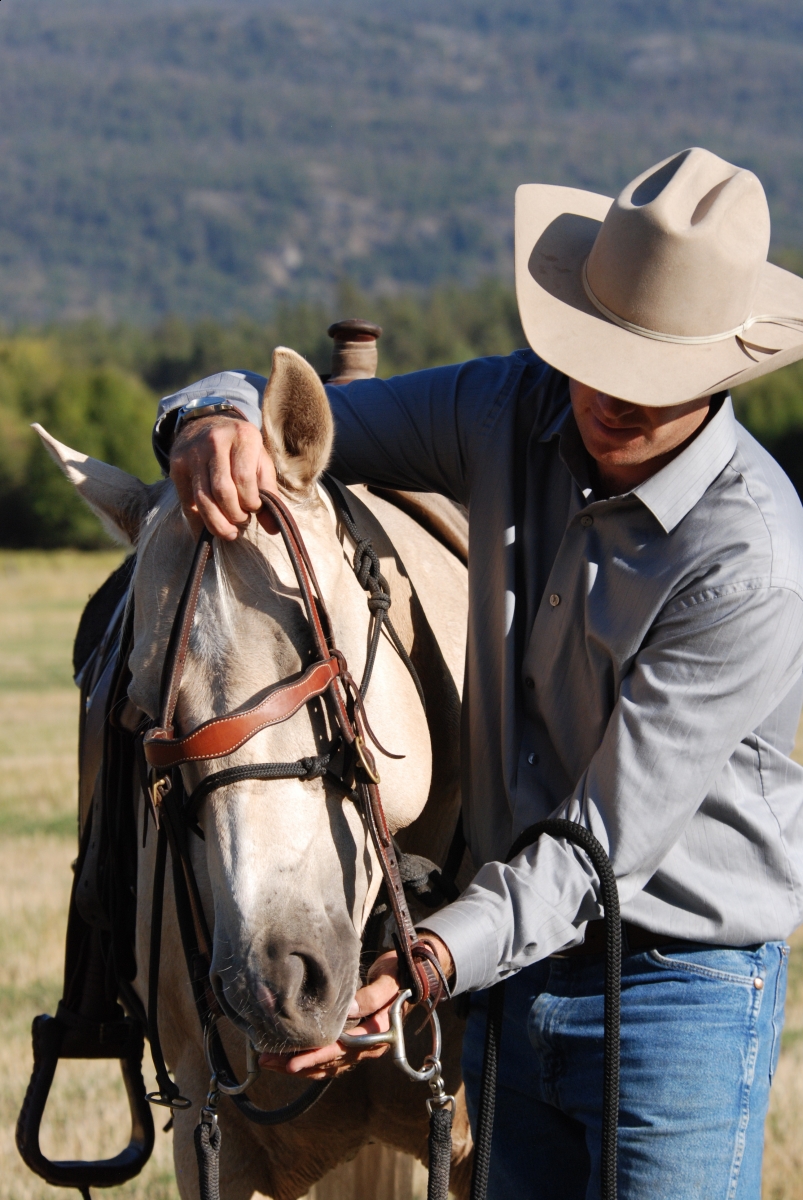 Horsemanship Horse Training, restarting horse training, jonathan field, training young horse, training horses around cows