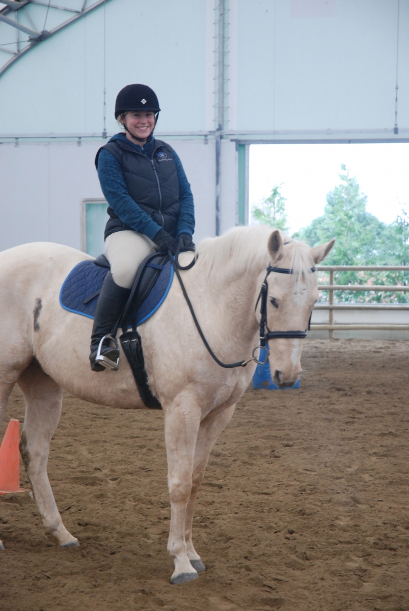 Horsemanship Horse Training, restarting horse training, jonathan field, training young horse, training horses around cows