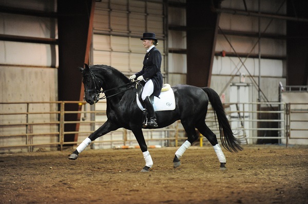 calm horse riding, level-headed horse riding, confident horse riding, horse rider breath control