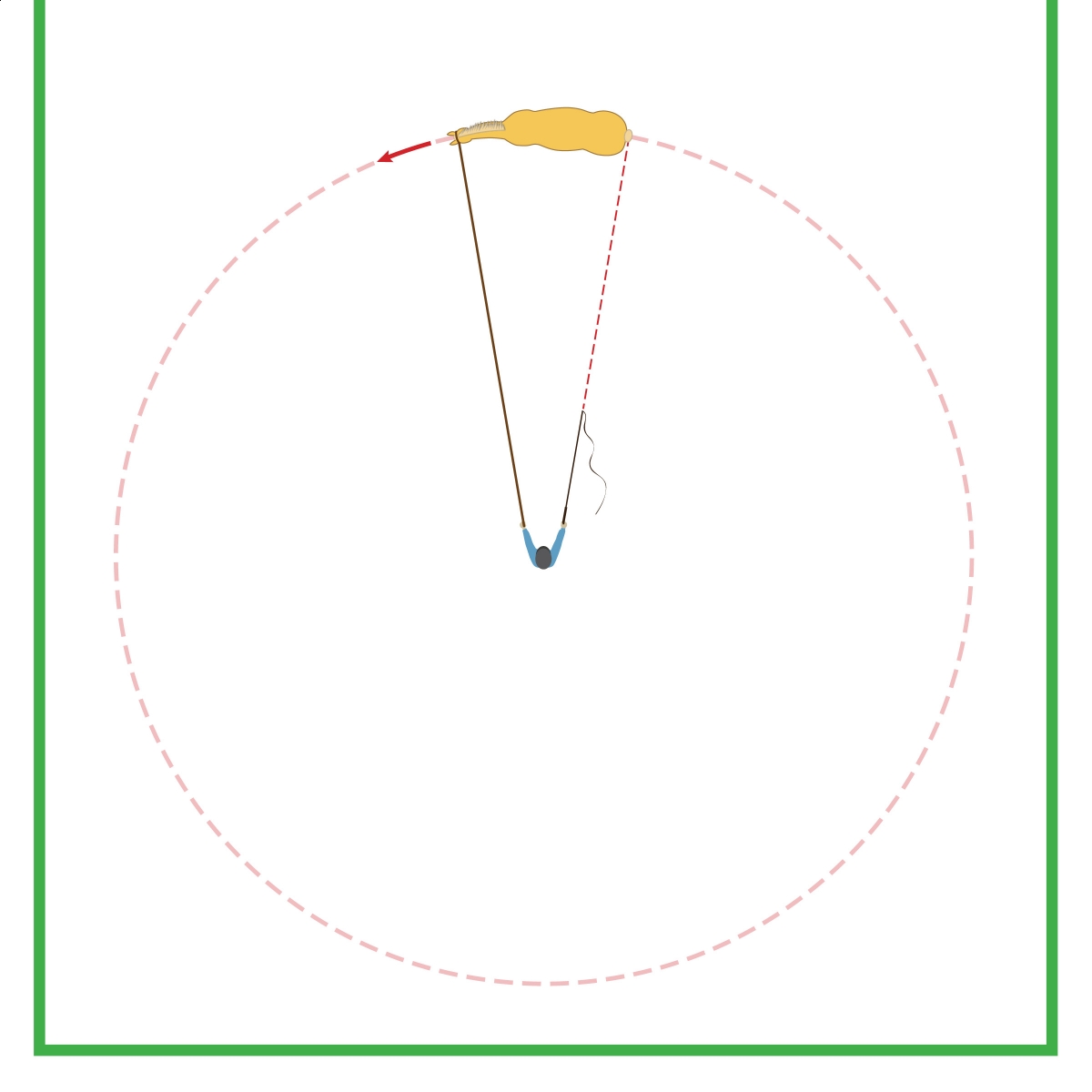 lunging triangle