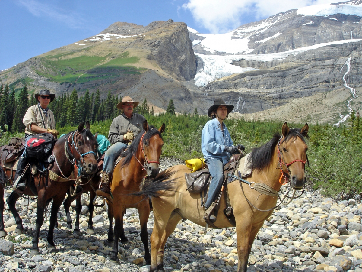 horse feet, horse legs, horse foot balance, horse lameness, balanced horse foot