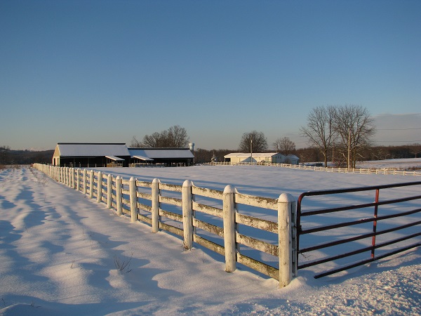 buying a horse property, living with horses, living on a horse farm, buying a horse farm, building a horse farm, building an equine property