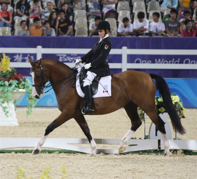 reaching your horse riding goals, Karen Brain, Judi Island, Lauren Barwick, horse riding spinal cord injury, horse rider psychology 