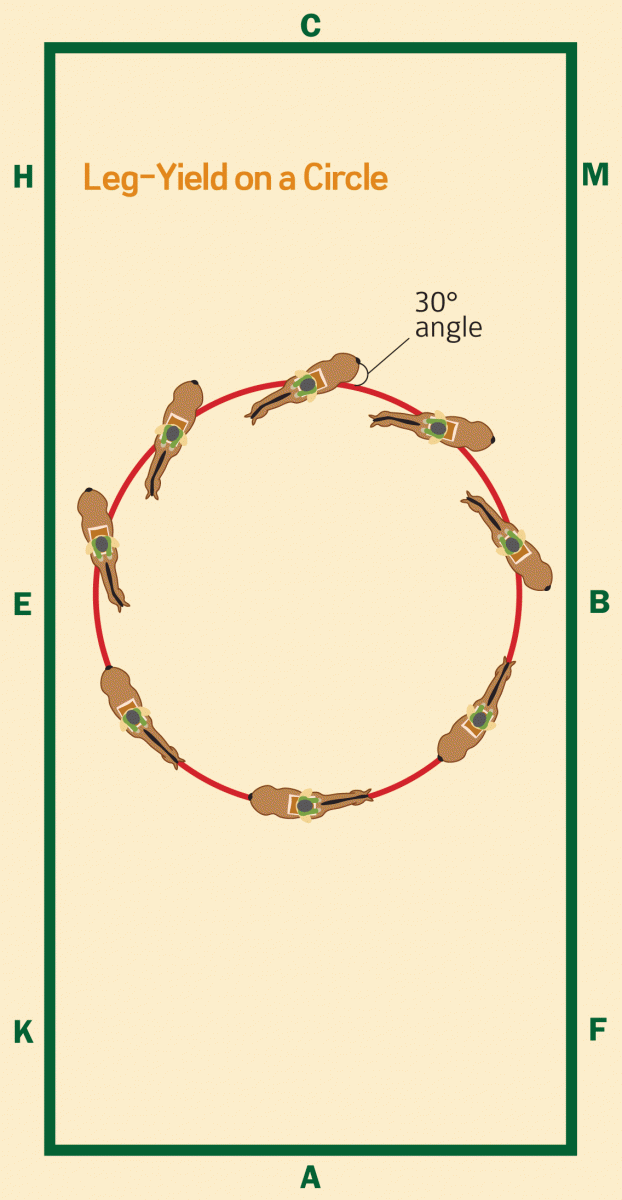 starting out right horse foot, nancy tapley, horse warm-up, Karen brain, horse riding technique, horse training, Shannon Dueck, horse leg yield, equine leg yield, horse leg yield circle, hunter jumper exercises, Leg-Yielding Out Circle