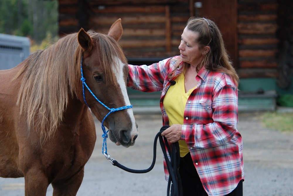 rescue horse Noel was rescued by BC SPCA, noel christmas pony jonathan field, rescue horses