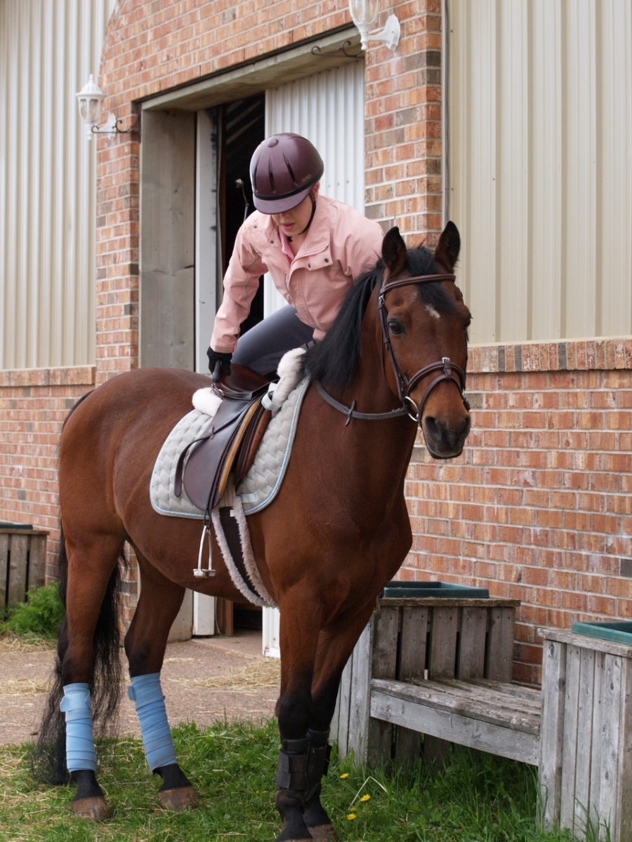 Rider Health Rider Psychology