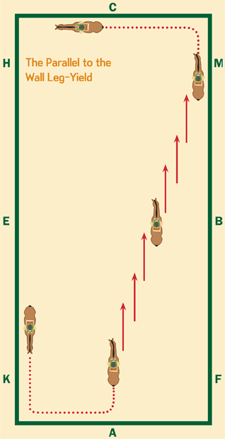 starting out right horse foot, nancy tapley, horse warm-up, Karen brain, horse riding technique, horse training, Shannon Dueck, horse leg yield, equine leg yield, horse leg yield circle, hunter jumper exercises, Leg-Yielding Out Circle