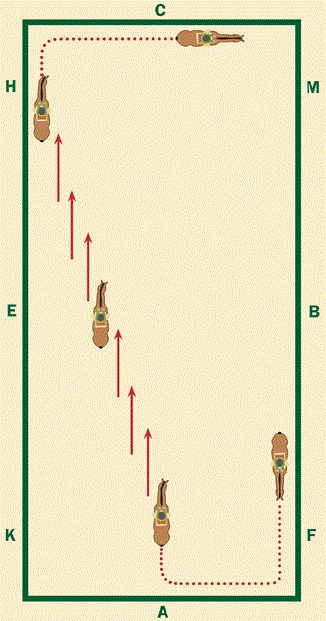 Lee Tubman, equine rhythm, equine balance, equine relaxation, canter leg-yield, impulsion, Canter Half-Pass, Developing Lateral Suppleness Canter