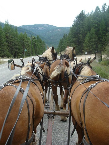 Pierre Cloutier, horse ride across canada, Traversée du Canada chevalz