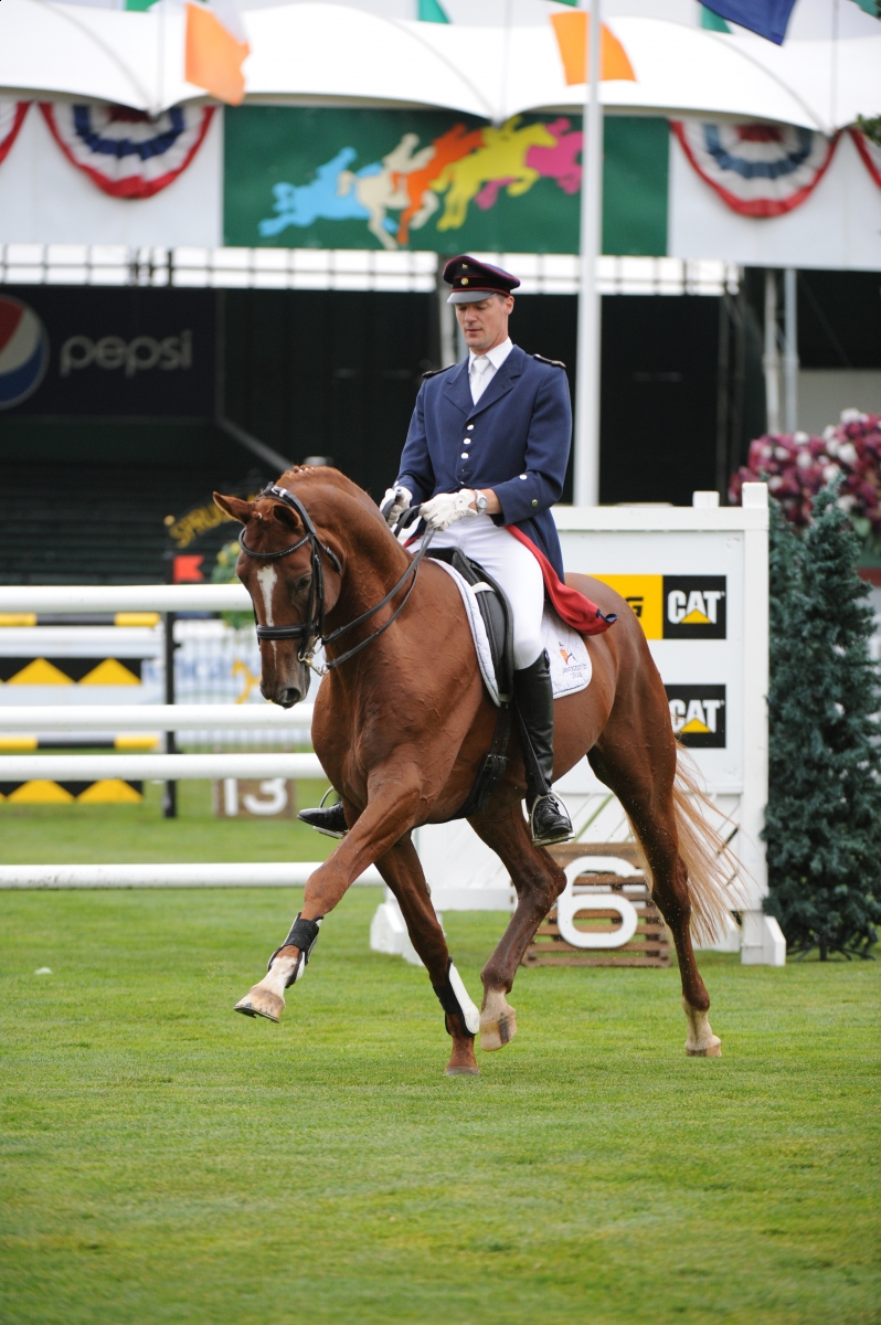 Riders & Horses have a Natural Energy Style