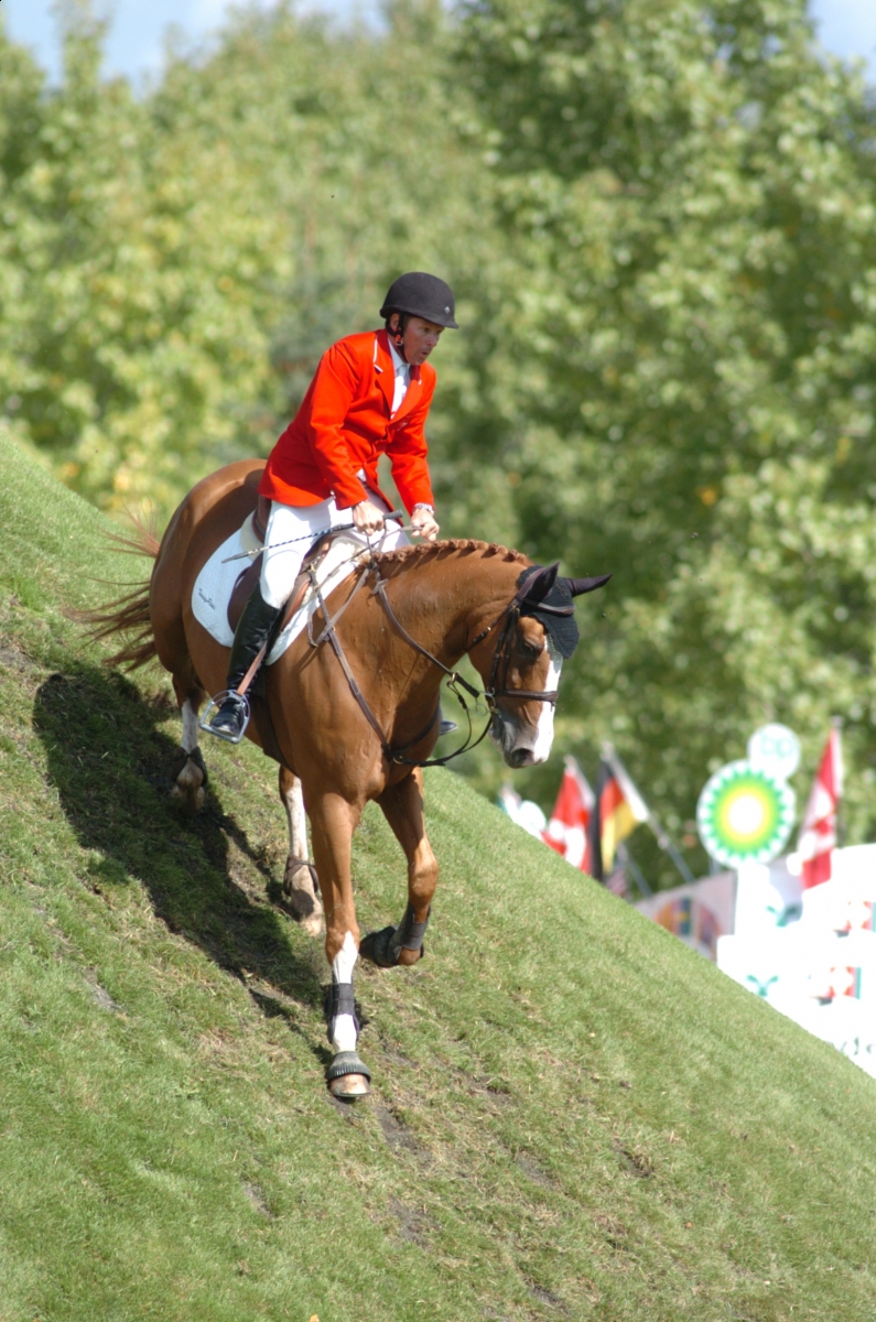 horse rider psychology, confident horse rider, horse rider confidence