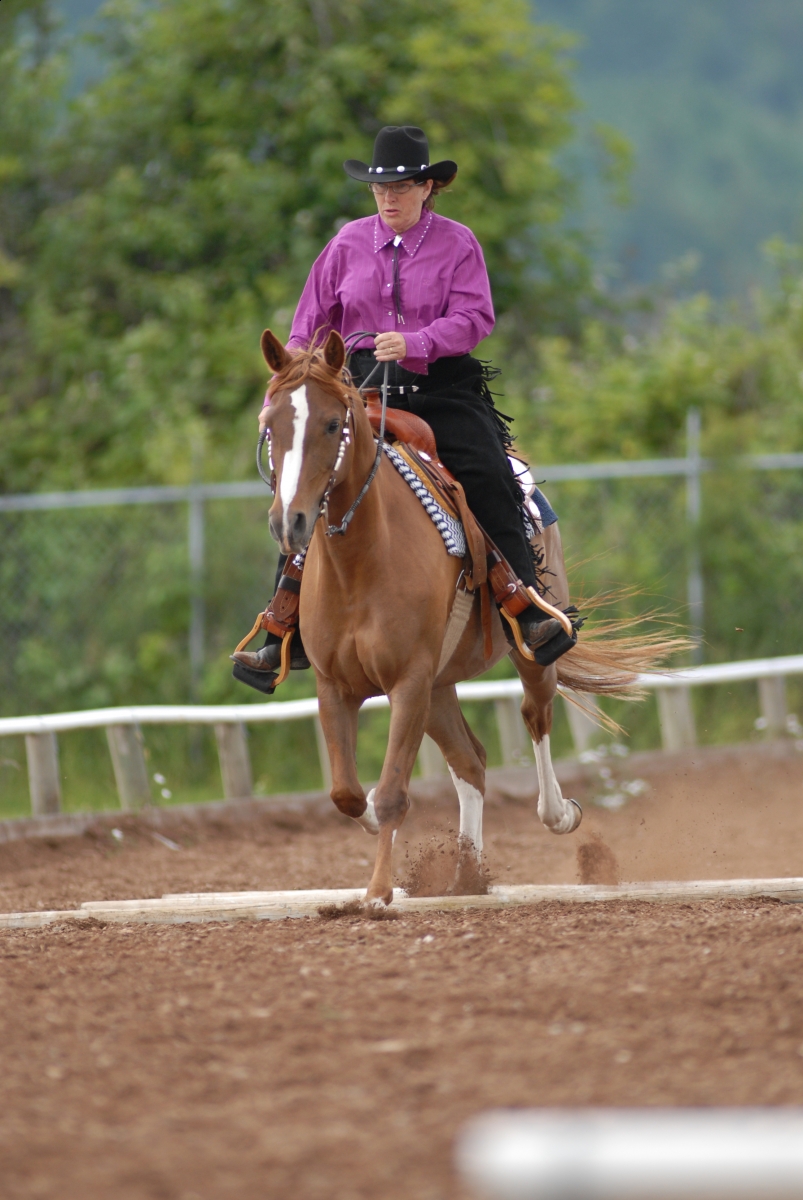 karen L. Weslowski, equine waivers, equine liability agreements, Unambiguous Waiver Risk Hazard, 