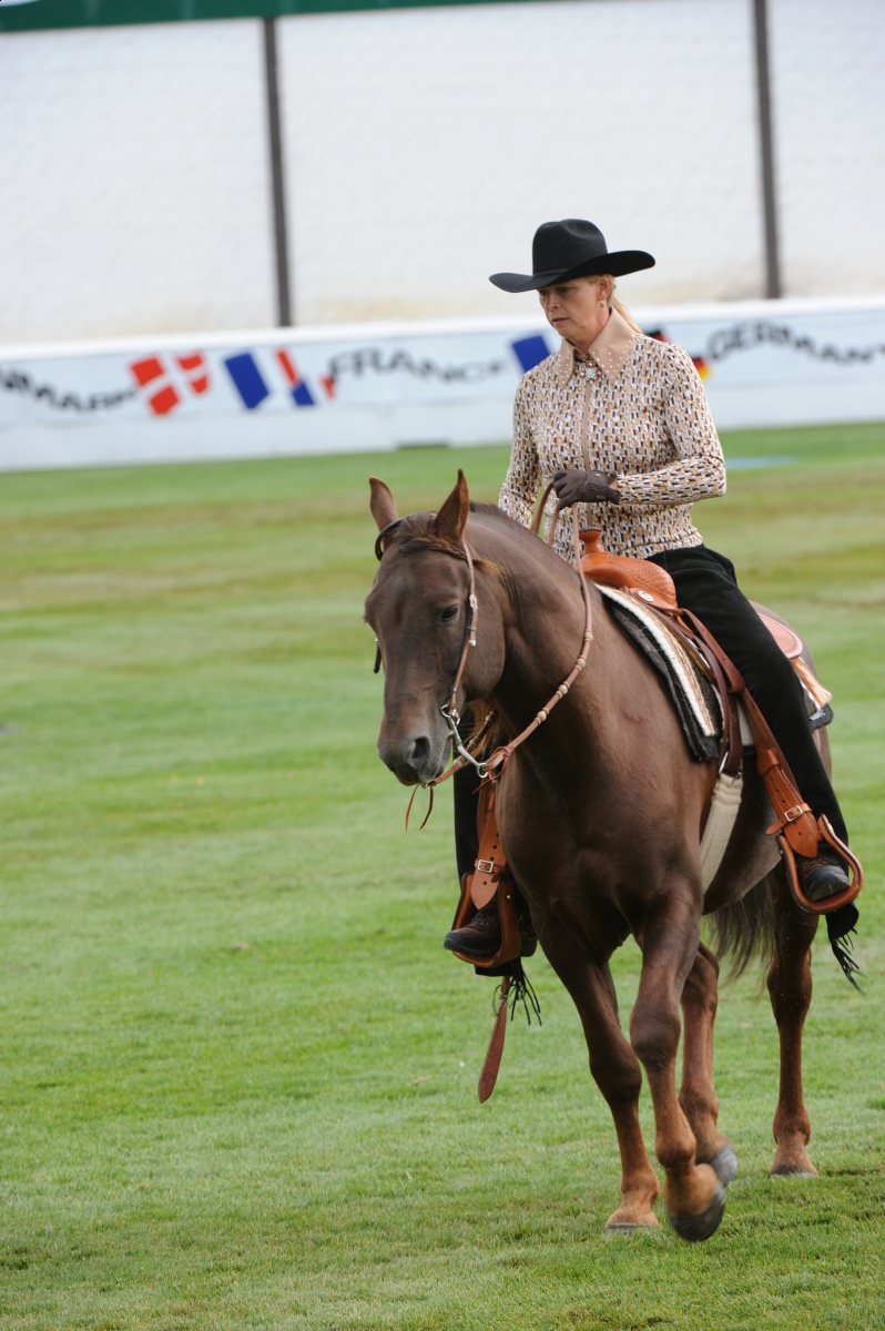 Broke Horse is the Educated Horse